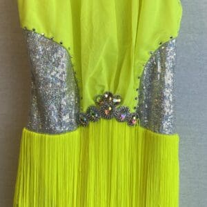Tenth House Dance Neon Yellow/ Green Fringed Costume (Adult Medium, gently used) - front