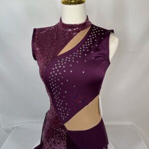 New Adult Small Dance Costume – Deep Plum and nude mesh - front