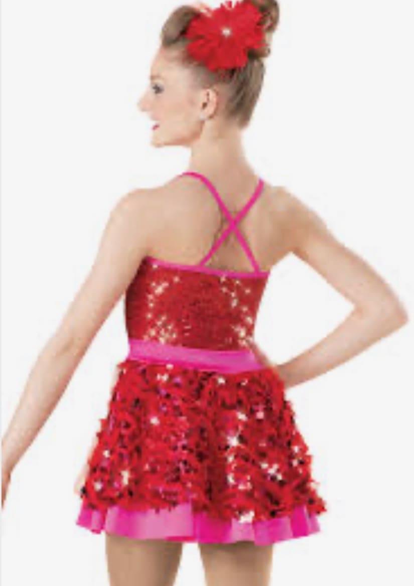 front view of Red Sequin And Pink Trim Figure Skating Dress