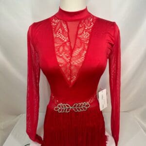 front view of Red Lace Mesh Fringe Latin Skating Dress