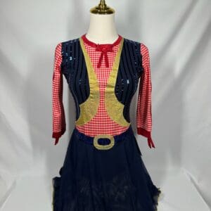 front view of Country Western Star Back Gingham Skating Dress